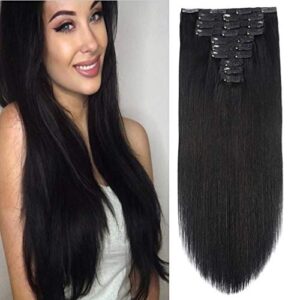 1 Clip-In Human Hair Extension