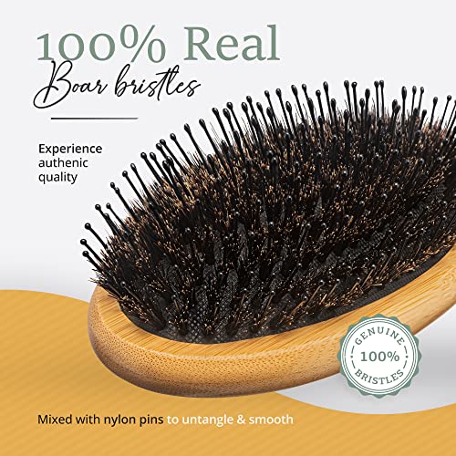 100% Boar Bristle Hair Brush for All Hair Types - Image 4