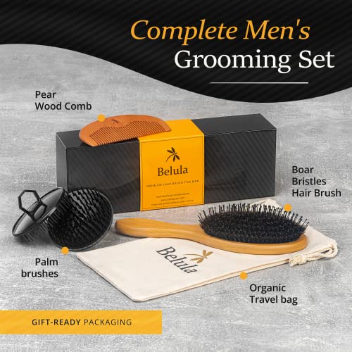 Natural Boar Bristle Hair Brush for Scalp Health and Shine - Image 5