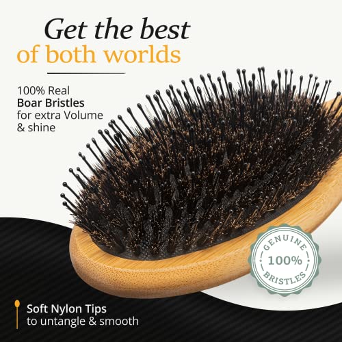 Natural Boar Bristle Hair Brush for Scalp Health and Shine - Image 3