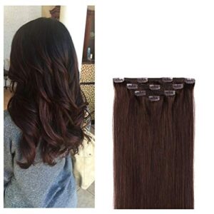 14? Clip-In Human Hair Extensions