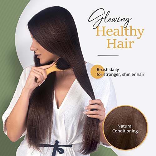 Natural Boar Bristle Hair Brush ? 100% Eco-Friendly - Image 3