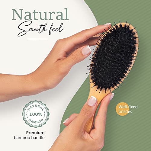 Natural Boar Bristle Hair Brush ? 100% Eco-Friendly - Image 5