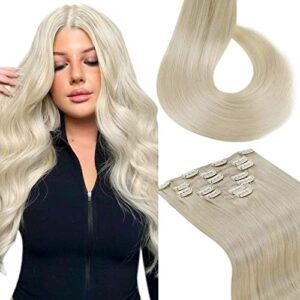 24-Inch Human Hair Extensions