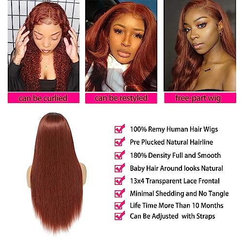 24-Inch Natural Human Hair Wig for Women, Soft, Comfortable, Ready to Wear - Image 3