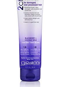 2chic Intensive Hair Repair Mask