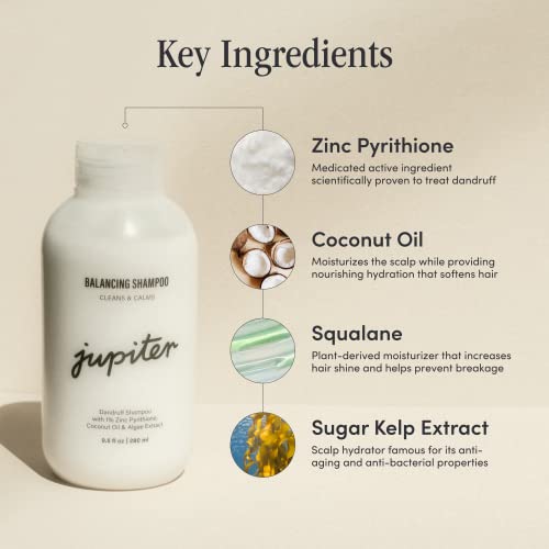 2-in-1 Anti-Dandruff Shampoo & Conditioner - Image 2