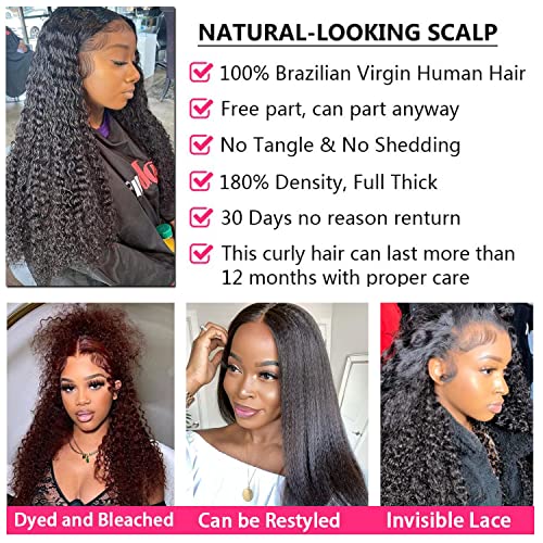 20-Inch Natural Hair Afro Curly Wig for Women, High-Quality Synthetic Fiber - Image 4