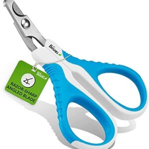 Daily Nail Clippers: 365 Days of Use