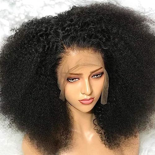 20-Inch Natural Hair Afro Curly Wig for Women, High-Quality Synthetic Fiber