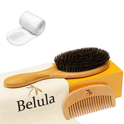 Swissco Men?s Soft Touch 100% Boar Bristle Brush