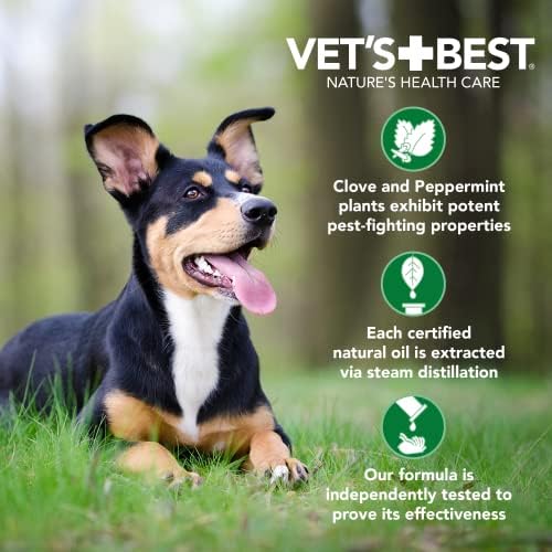 Flea Treatment for Human Hair - Image 4