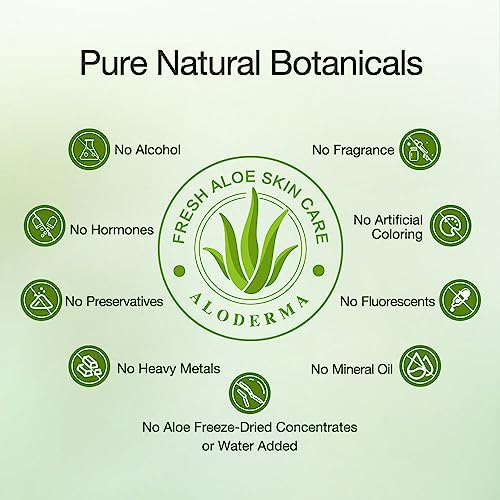 Aloe Vera Coconut Oil Leave-In Conditioner 8 oz Natural Hair Hydration - Image 3