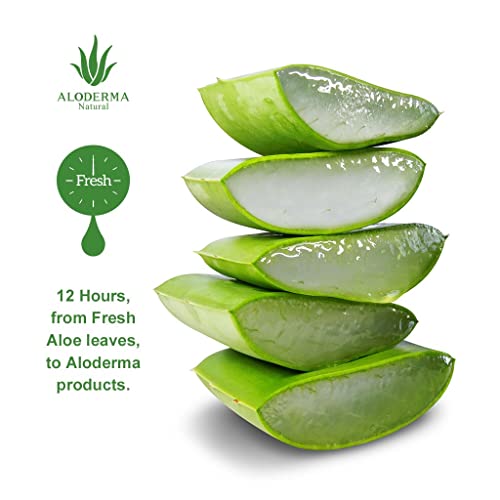 DIY Aloe Vera Hair Cream Kit for Healthy Hair Care, 200ml Capacity - Image 9