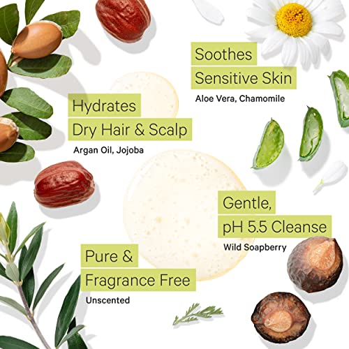 Art Naturals Argan Oil Aloe Vera Shampoo 16 fl oz Nourishing Hair Treatment - Image 4