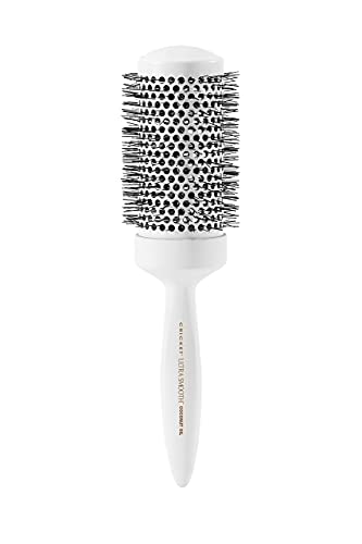 Cricket Fanatic Hair Brush for Collectors and Enthusiasts, 1 Count