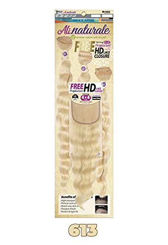 Ali Naturale Organic 18 Inch Remy Human Hair Extensions Natural Color - Image 3