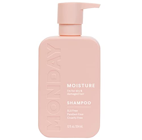 ?Argan Oil & Vitamin E Shampoo?