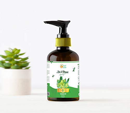 Ayurvedic Anti Dandruff Shampoo 250ml - Image 2