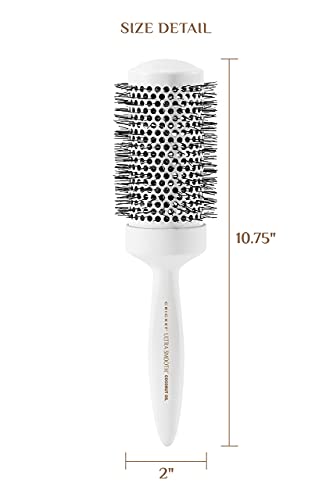 Cricket Fanatic Hair Brush for Collectors and Enthusiasts, 1 Count - Image 3