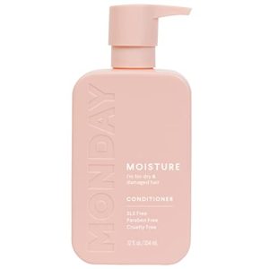 Argan Oil Hair Conditioner: Nourishing treatment for smooth hair