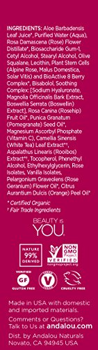 Andalou Hair Serum: Nourishing, Strengthening, and Shine-Enhancing Formula - Image 3