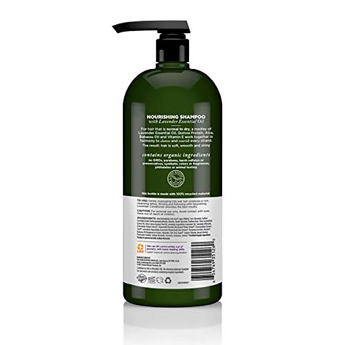 Pregnancy-safe Anti Dandruff Shampoo - Image 2