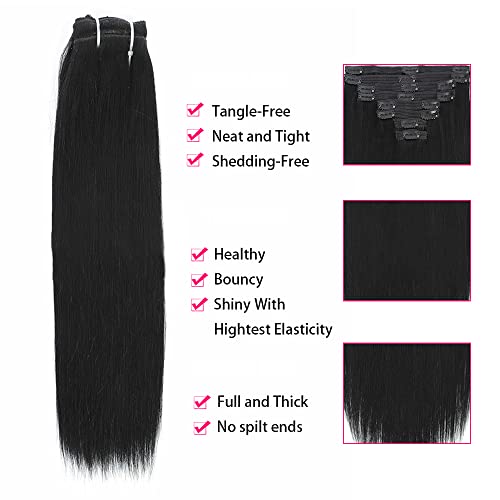 Human Hair Collection Market Insights: Trending Consumer Preferences and Buyer Insights - Image 4