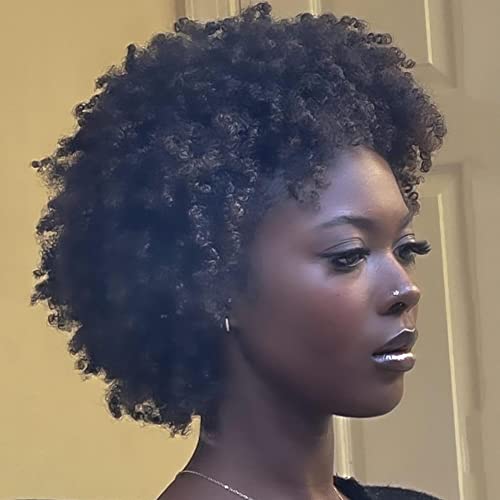 Kinky Curly Human Hair Wig