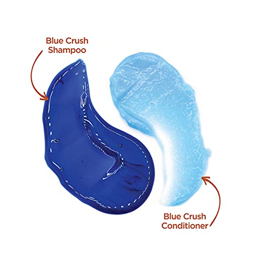 8 oz Blue Hair Conditioning Treatment for Ultimate Softness and Radiant Shine - Image 10