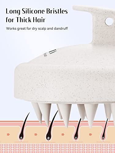 At-Home Anti-Dandruff Hair Spa - Image 6