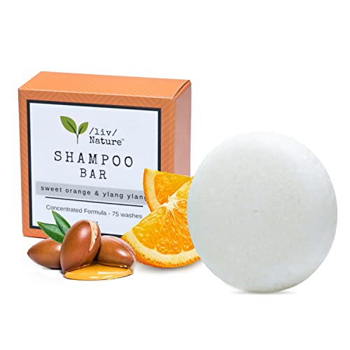 Nourishing Argan Oil Shampoo with Natural Ingredients for Hydrating Hair 12 oz - Image 9