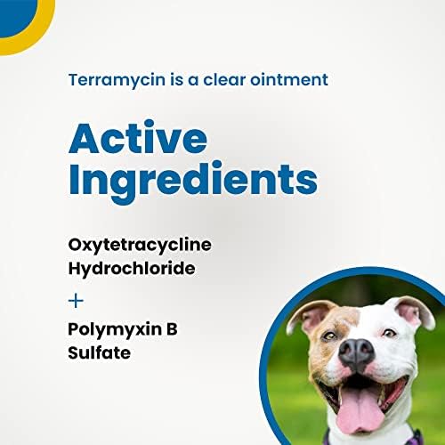 Antibiotic cream for eyes. - Image 4