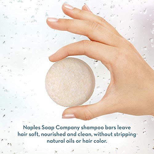 Gentle Paraben-Free Shampoo for All Hair Types, 12 oz Bottle - Image 3