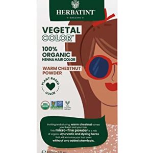 Ambika Pillai 100% Herbal Natural Hair Dye for Vibrant Color and Shine 500g