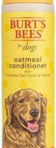 Effective 8 oz Flea Treatment for Human Hair and Scalp