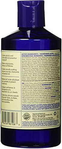 Homeopathic Dandruff Shampoo 12 oz Natural Scalp Care Formula - Image 2