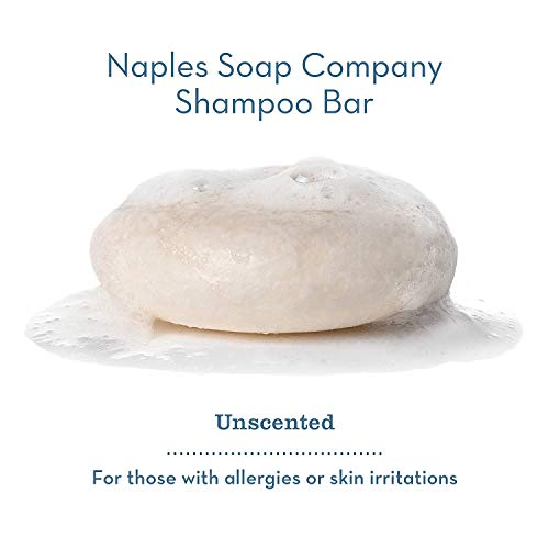 Gentle Paraben-Free Shampoo for All Hair Types, 12 oz Bottle - Image 2