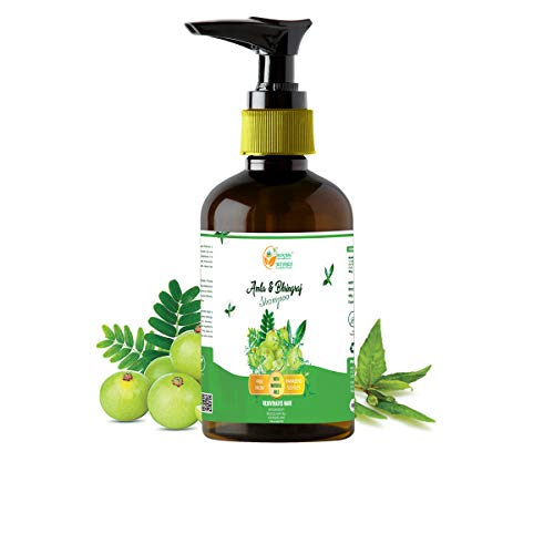 Ayurvedic Anti Dandruff Shampoo 250ml - Image 3