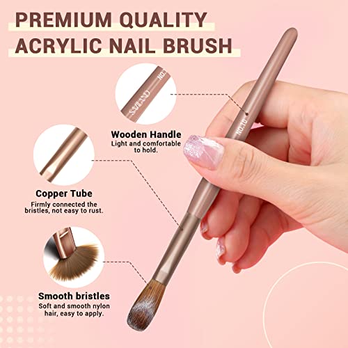 ?Acrylic Nails Brush Set? - Image 3