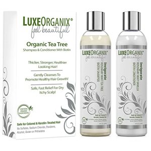 Organix Argan Oil Shampoo ? Nourishes and Restores Hair