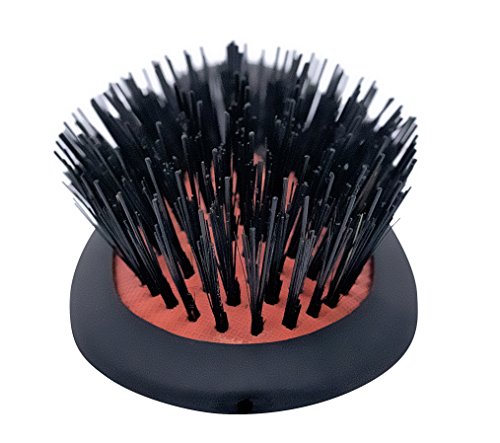 ?Romy Brush: Stylish Haircare Essential? - Image 3
