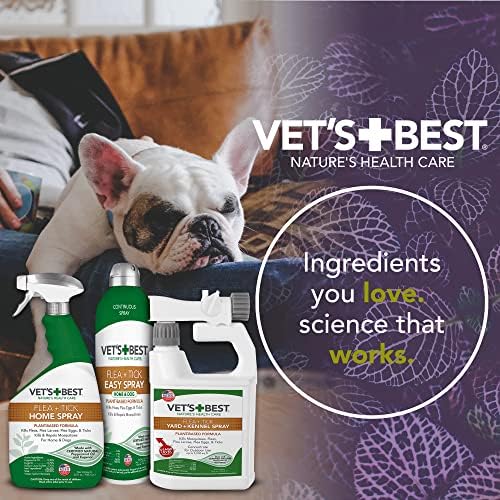 Flea Treatment for Human Hair - Image 6