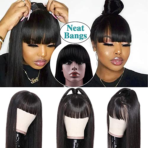 Chinese Bang Human Hair Wig, Natural Look, Comfortable Fit, Daily Wear, 10-Inch - Image 3