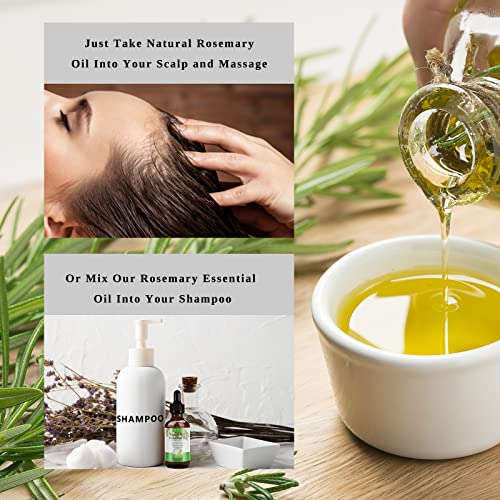 Eyebrow Growth with Argan Oil Benefits - Image 7