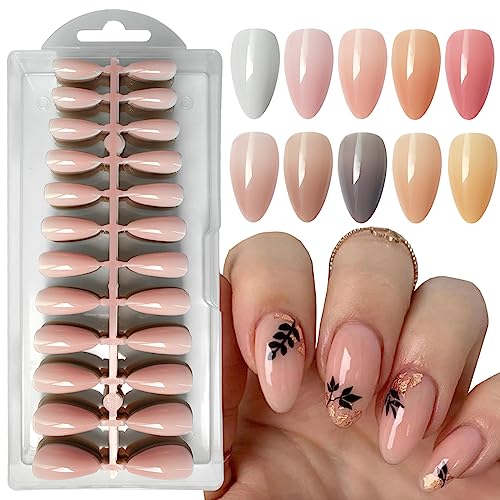 Almond Acrylic Nail Color Swatch Display with 12 Vibrant Shades for Manicure Inspiration