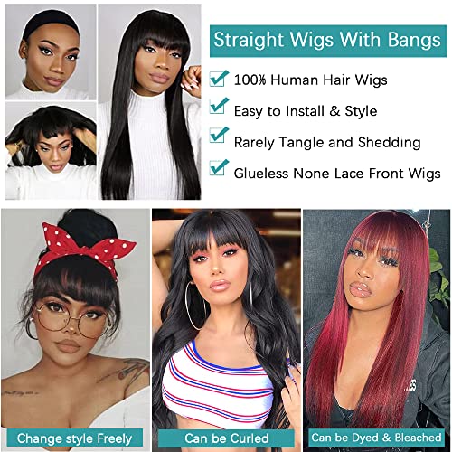 Chinese Bang Human Hair Wig, Natural Look, Comfortable Fit, Daily Wear, 10-Inch - Image 5