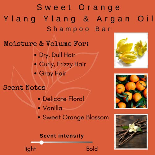 Nourishing Argan Oil Shampoo with Natural Ingredients for Hydrating Hair 12 oz - Image 2