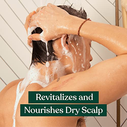 Body Shop 250ml Anti-Dandruff Shampoo for Flake-Free, Healthy Scalp - Image 2