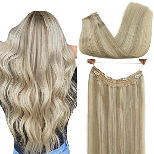 Understanding Human Hair Color Genetics Beginner's Guide with Clear Examples